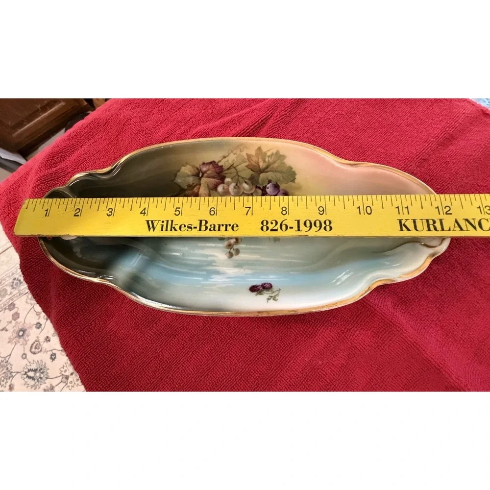 J&C Louise Bavaria Fruit Motif Gold Trim Porcelain Celery Dish 9.5